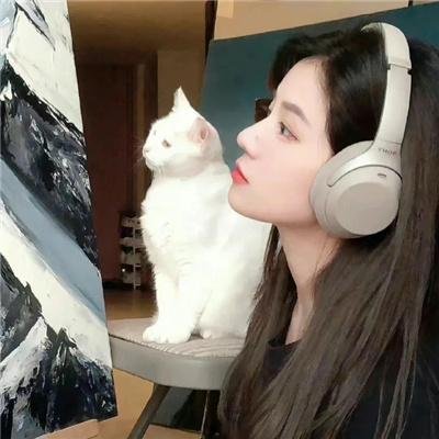 我的阿米什人双重生活